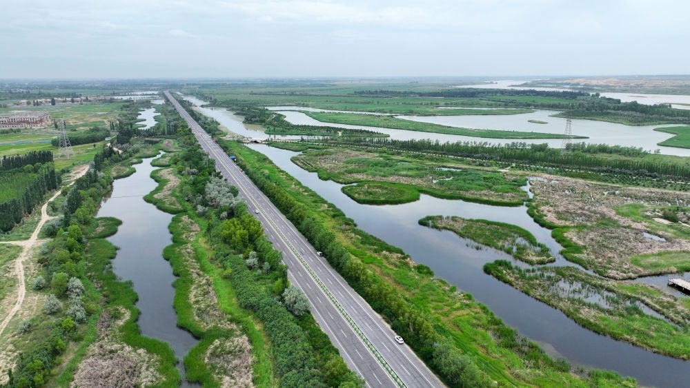 這是2024年6月13日拍攝的黃河寧夏段濱河大道（無人機(jī)照片）。近年來，寧夏努力建設(shè)黃河流域生態(tài)保護(hù)和高質(zhì)量發(fā)展先行區(qū)，全力打好黃河保護(hù)持久戰(zhàn)。新華社記者 王鵬 攝