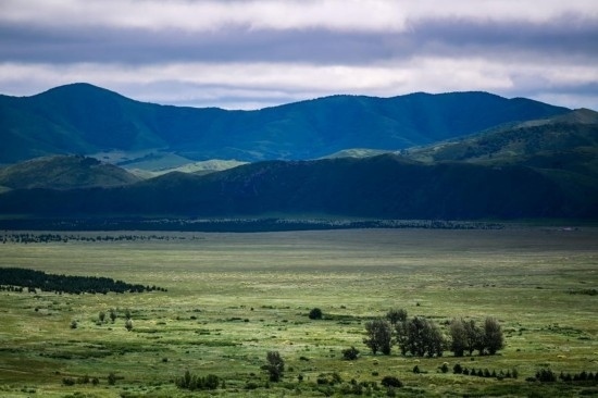 2023年8月4日拍攝的大興安嶺南麓內(nèi)蒙古罕山國(guó)家級(jí)自然保護(hù)區(qū)風(fēng)光。新華社記者 連振 攝