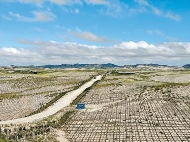剛剛竣工的其白線穿沙公路。