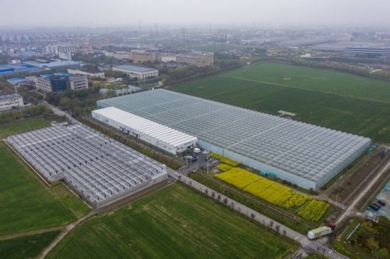 2024年3月28日，空中俯瞰嘉興南湖區(qū)湘家蕩農(nóng)業(yè)數(shù)字化工廠（無人機(jī)照片）。該農(nóng)業(yè)數(shù)字化工廠占地總面積約62畝，包含智慧農(nóng)業(yè)生產(chǎn)、物聯(lián)網(wǎng)智能管理、自動分揀包裝、保鮮儲藏物流、高科技示范展示等五大功能區(qū)，可直接或間接培養(yǎng)帶動新型職業(yè)技術(shù)農(nóng)民500人以上。新華社記者 徐昱 攝