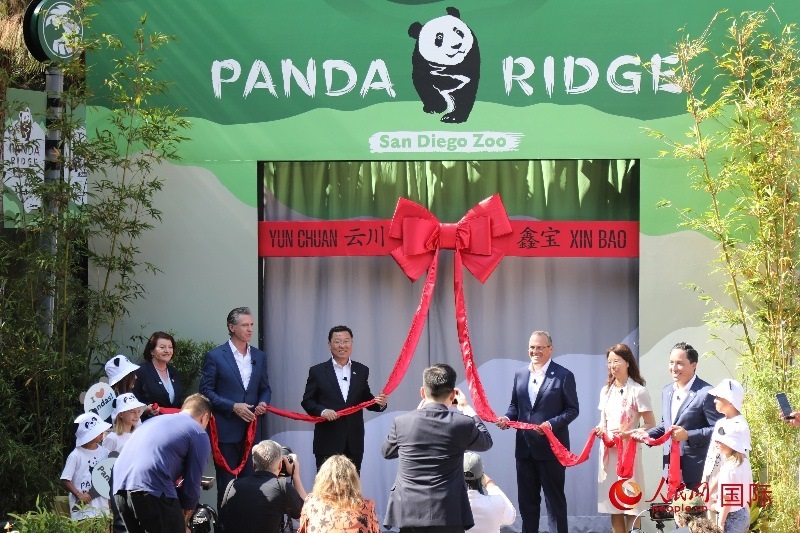 1、中國駐美國大使謝鋒、加州州長紐森、圣迭戈市市長格洛利亞等人共同為“熊貓嶺”開館剪彩。 人民網(wǎng)記者 李志偉攝