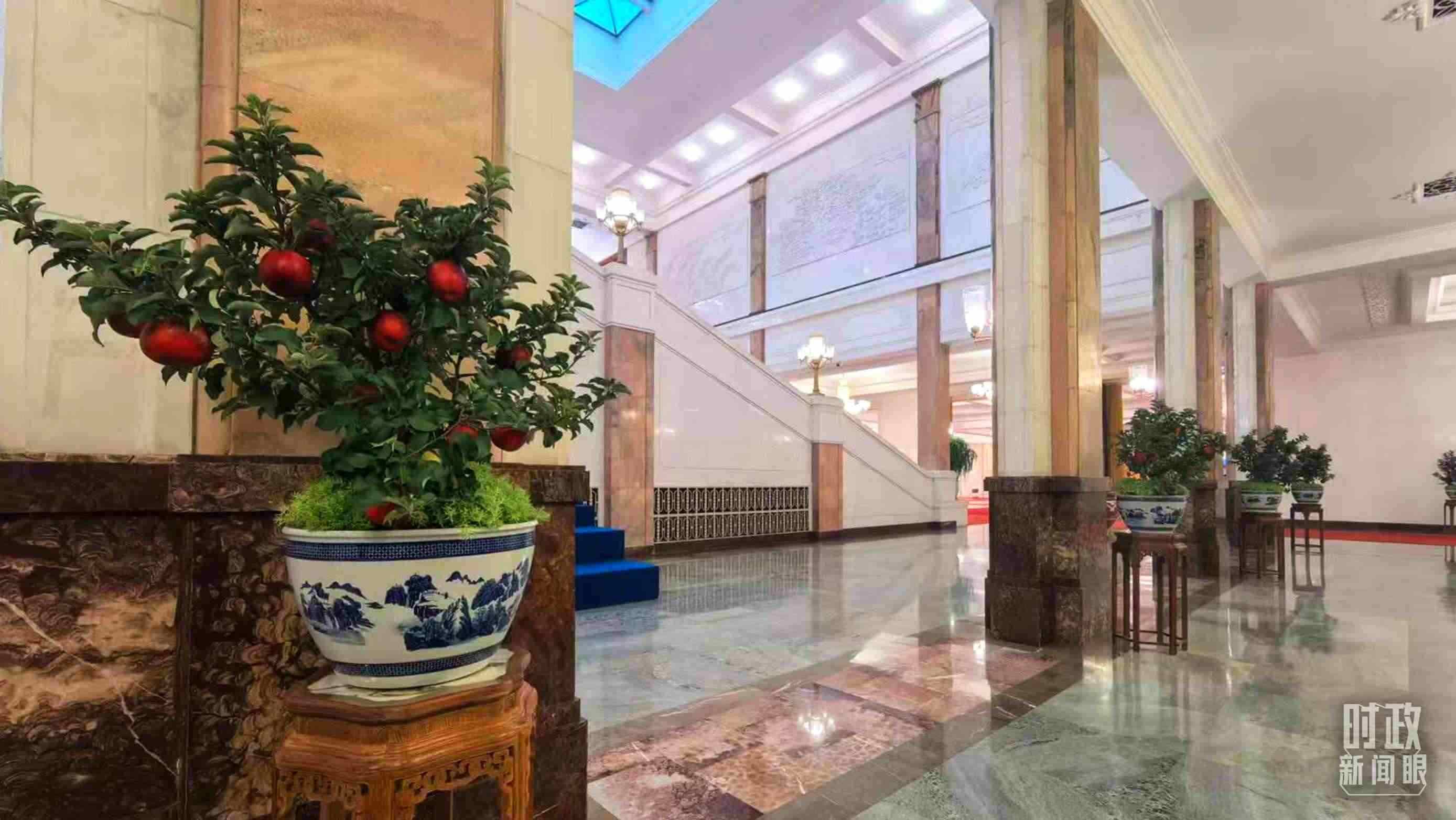  △大會(huì)堂內(nèi)的“碩果累累”盆栽。（總臺(tái)國廣記者吳倩拍攝）