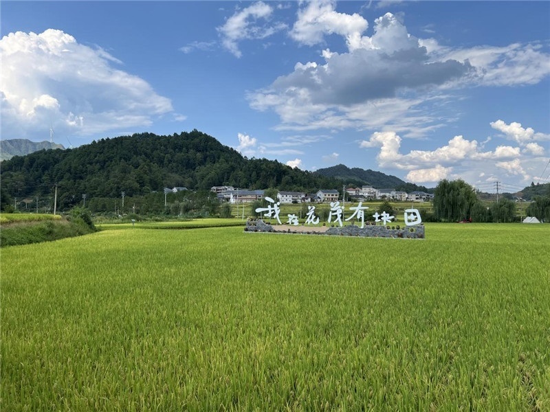 青瓦白磚的黔北民居、風(fēng)中搖曳的稻田、抬手可觸的大片云朵……才剛下車，格魯吉亞“經(jīng)濟(jì)中心網(wǎng)”總編輯莉安娜·喬爾喬利亞尼就被眼前的景色拖住了步履，喃喃細(xì)語：“實(shí)在太美了，讓我內(nèi)心平靜，在這里生活一定非常安逸和幸福?！保ㄇ褫x攝）