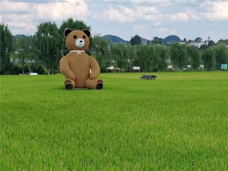 稻穗搖曳，垂柳依依，山嵐多姿，好一幅歲月靜好山鄉(xiāng)恬靜圖。這憨厚俏皮的熊玩偶造型，像是亂入其中，形成現(xiàn)代與傳統(tǒng)、好動與寧靜的反差感，讓人過目不忘，也讓人莞爾一笑。（哈薩克斯坦鳳凰24新聞社總編輯兼首席執(zhí)行官克馬爾·馬山羅攝）