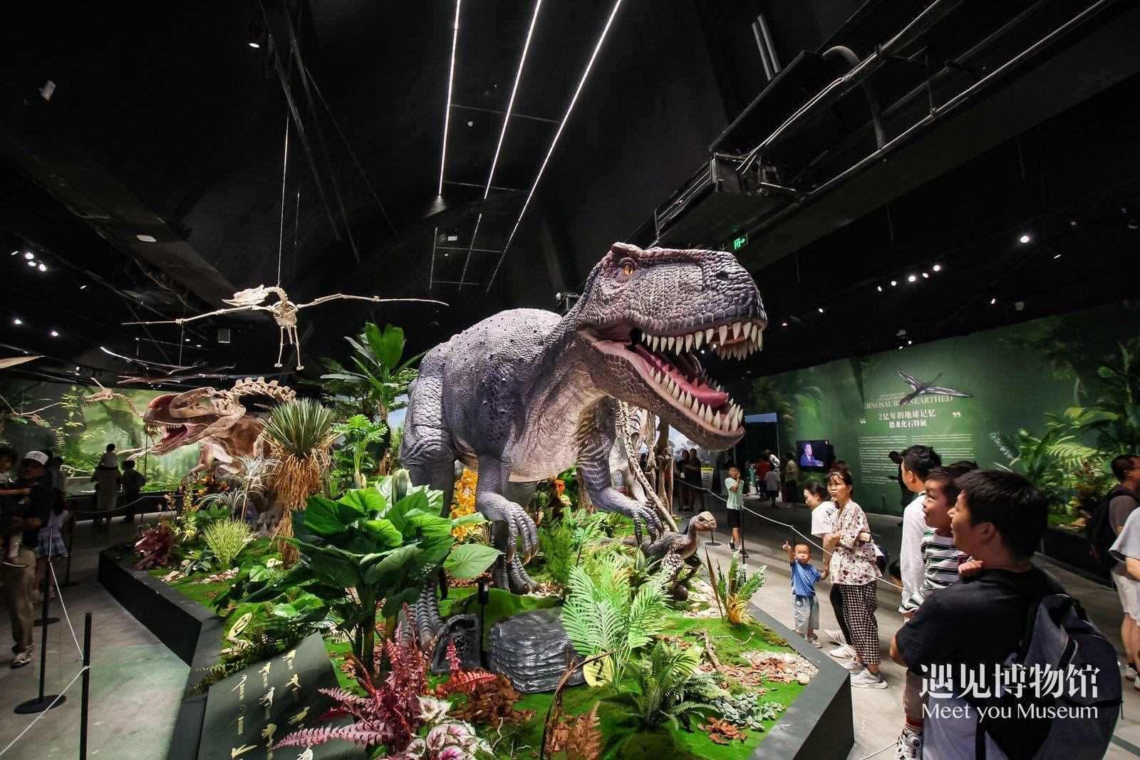 2. 游客參觀“2億年的地球記憶——恐龍化石特展”。遇見(jiàn)博物館供圖