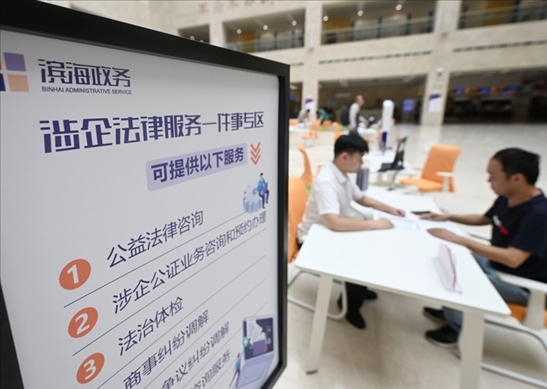 在天津?yàn)I海新區(qū)政務(wù)服務(wù)中心，工作人員在“涉企法律服務(wù)一件事”專區(qū)為市民提供服務(wù)（2024年7月31日攝）。新華社記者 趙子碩 攝