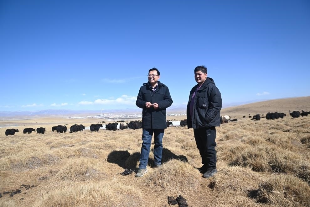 2023年2月24日，在青海省海北藏族自治州海晏縣青海湖鄉(xiāng)達(dá)玉日秀村，全國(guó)人大代表董全民（左）查看牧民東知布家的草場(chǎng)。新華社記者 張龍 攝