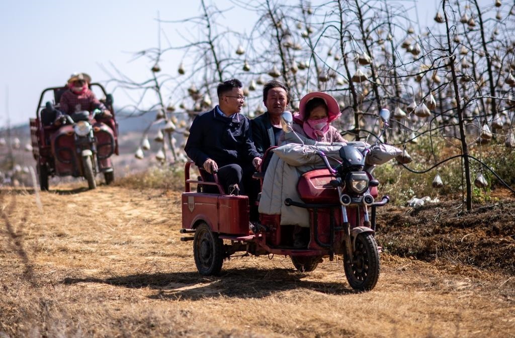 全國(guó)人大代表袁海波（右三）在云南省曲靖市馬龍區(qū)一種植基地了解務(wù)工人員就業(yè)需求（2023年2月11日攝）。新華社記者 江文耀 攝