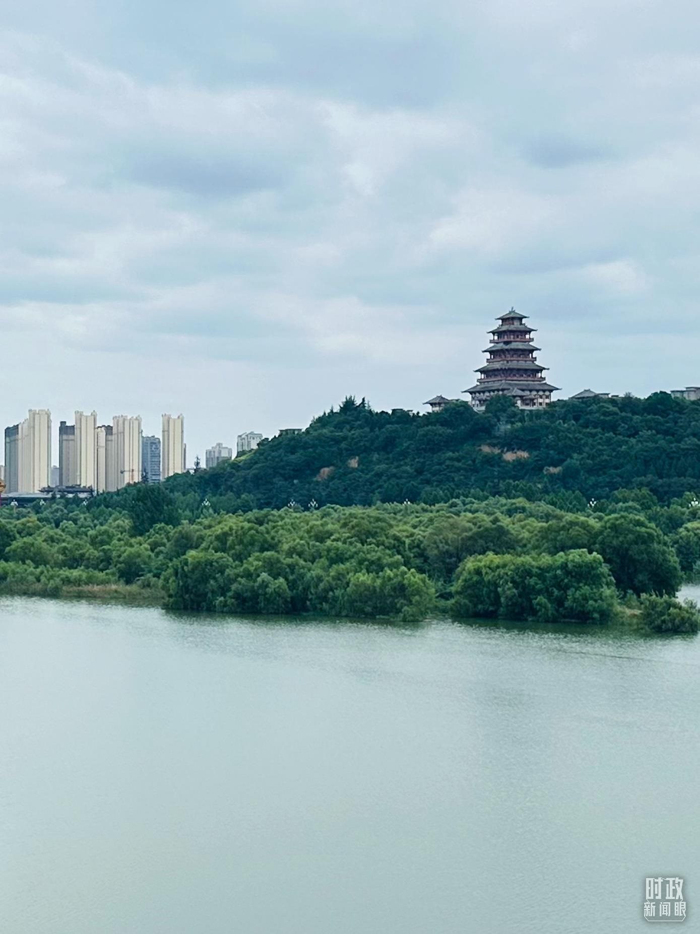 △渭河寶雞段長224公里，目前建成17處渭河灘區(qū)生態(tài)涵養(yǎng)區(qū)。（總臺央視記者范一鳴拍攝）