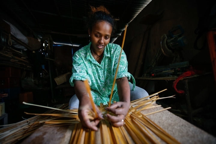 2024年8月10日，菲基爾特·加布雷在埃塞俄比亞首都亞的斯亞貝巴名為“綠色金子”的竹藤工作室里加工竹制產(chǎn)品。新華社發(fā)（邁克爾·特韋爾德 攝）