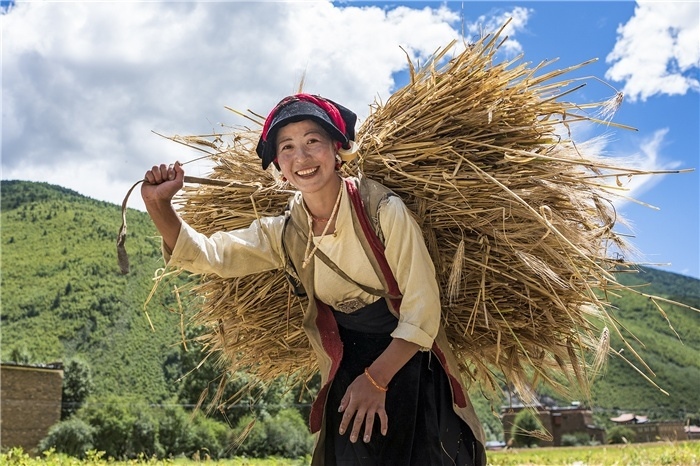 康定市甲根壩鎮(zhèn)青稞豐收，農(nóng)牧民臉上洋溢著豐收的喜悅。林革文攝
