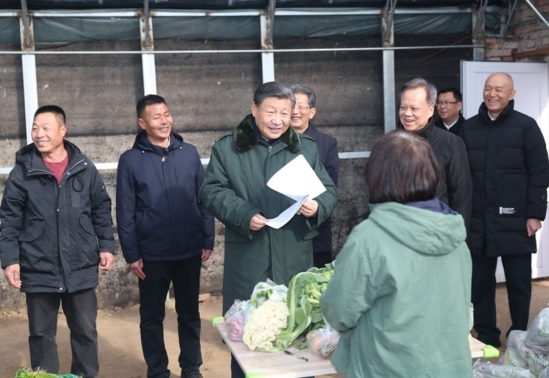 2024年2月1日，習(xí)近平總書記在天津市西青區(qū)辛口鎮(zhèn)第六埠村，走進(jìn)大棚同菜農(nóng)親切交流。