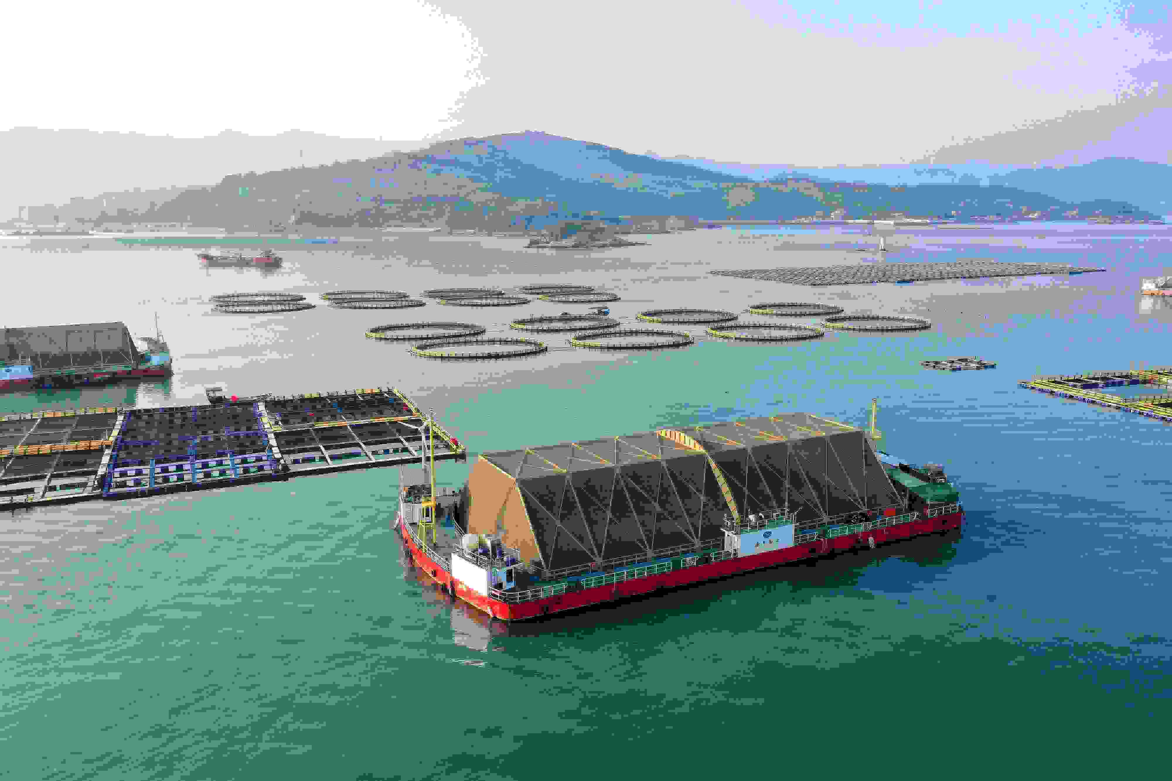 2024年9月10日拍攝的福建省福州市連江縣定海灣海域的現(xiàn)代化“海上糧倉”。