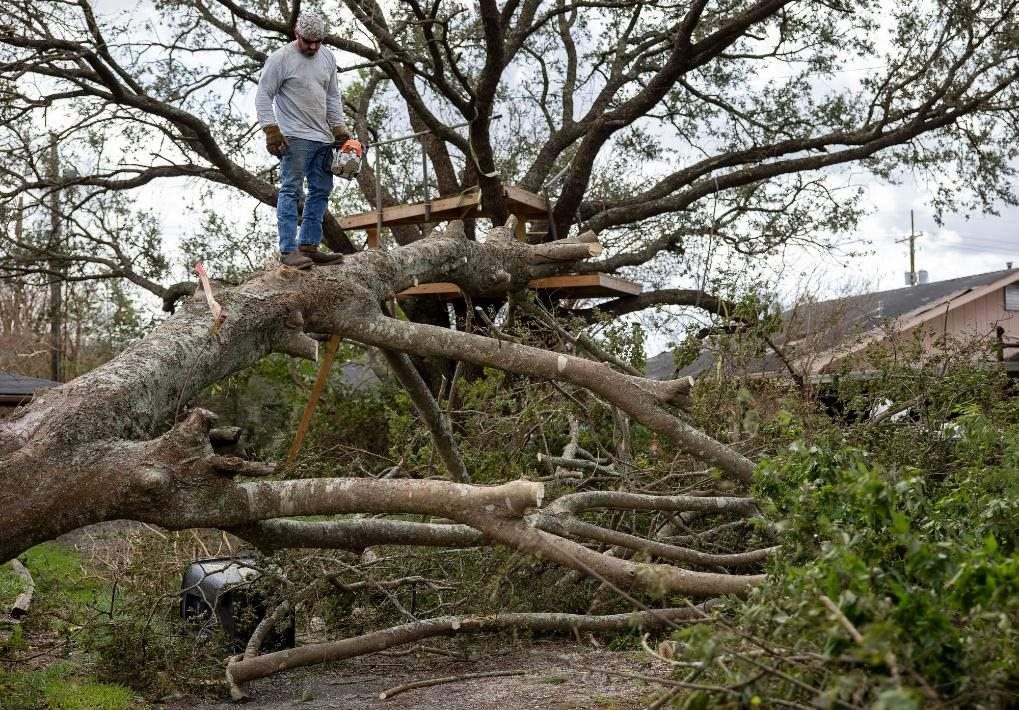 2021年8月30日，在美國路易斯安那州霍馬，一名男子站在被颶風吹倒的大樹上。新華社發(fā)（尼克·瓦格納 攝）