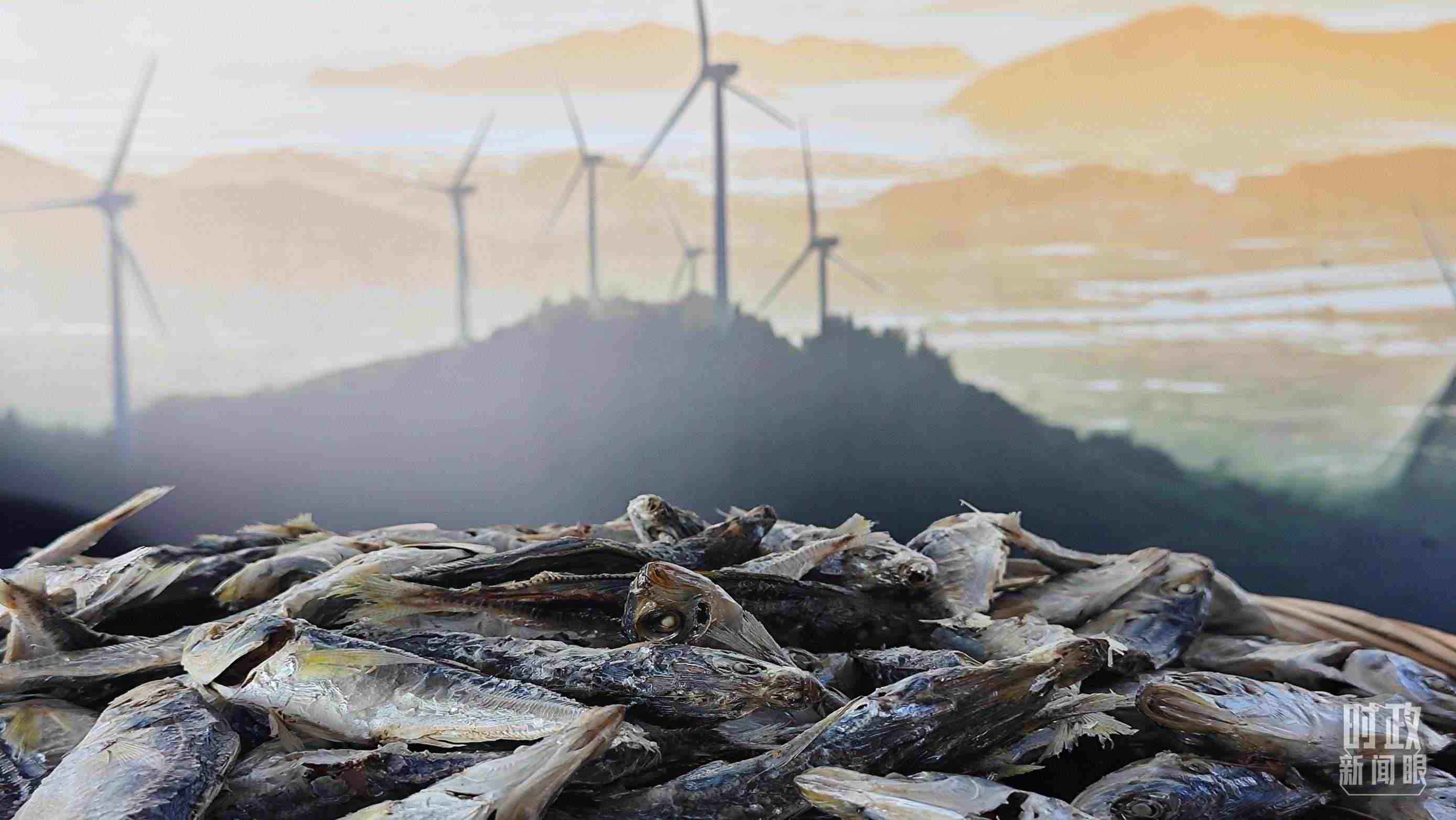 △澳角村的海產(chǎn)品。（總臺(tái)央視記者許永松拍攝）