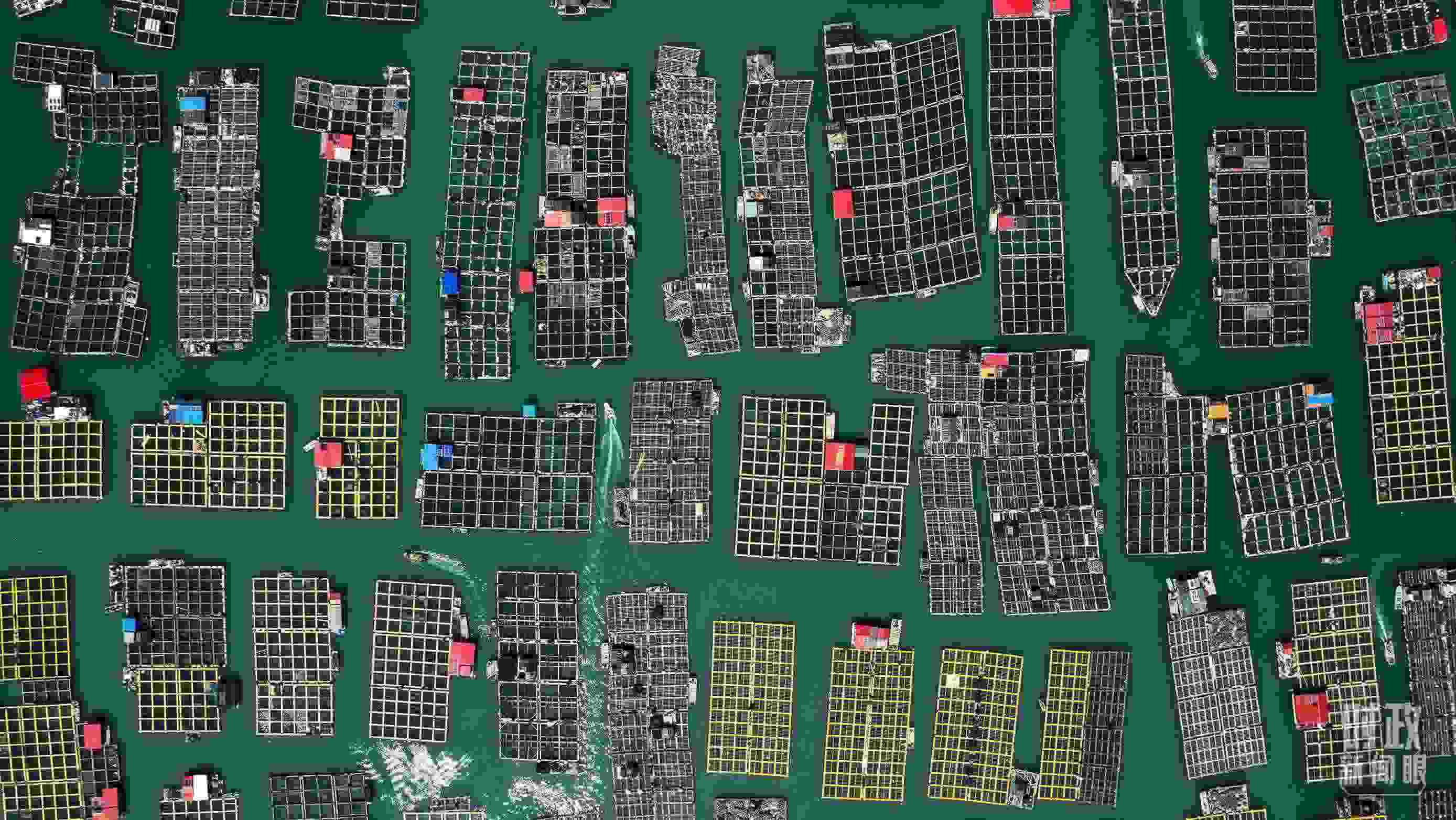 △澳角村。（總臺(tái)記者李晉拍攝）