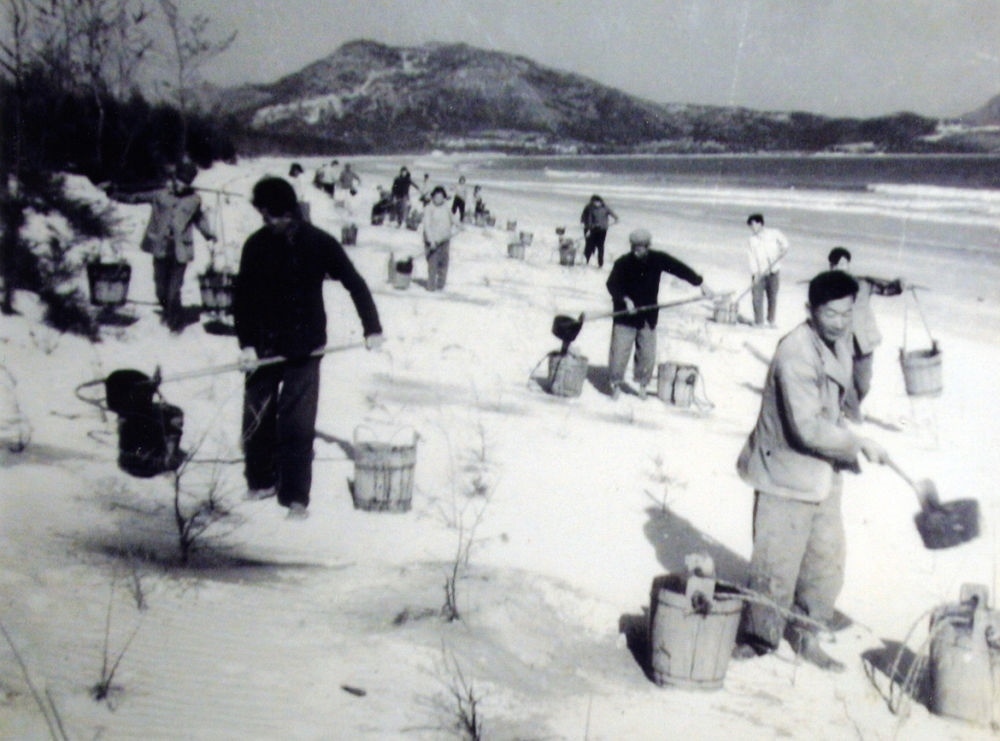 上世紀(jì)東山百姓在沙灘造林（資料照片）。