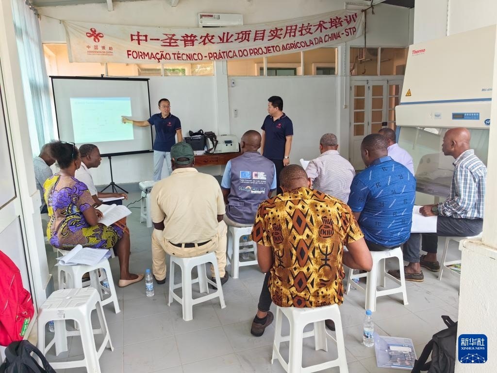 中國援圣普農(nóng)牧業(yè)技術(shù)項目組專家段振華（后左）在圣多美和普林西比的國家獸醫(yī)實驗室開展動物疫病監(jiān)測技術(shù)培訓（2024年6月21日攝）。新華社發(fā)（中國援圣普農(nóng)技組供圖）