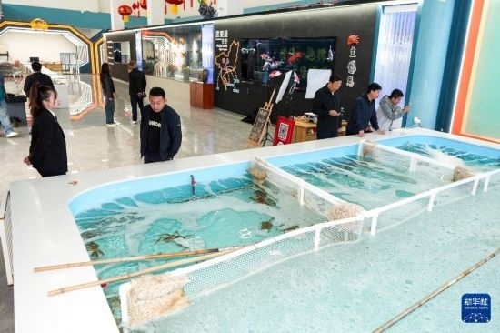 9月20日，游客在吉林省琿春市的帝王蟹保稅店內(nèi)選購帝王蟹。新華社記者 許暢 攝