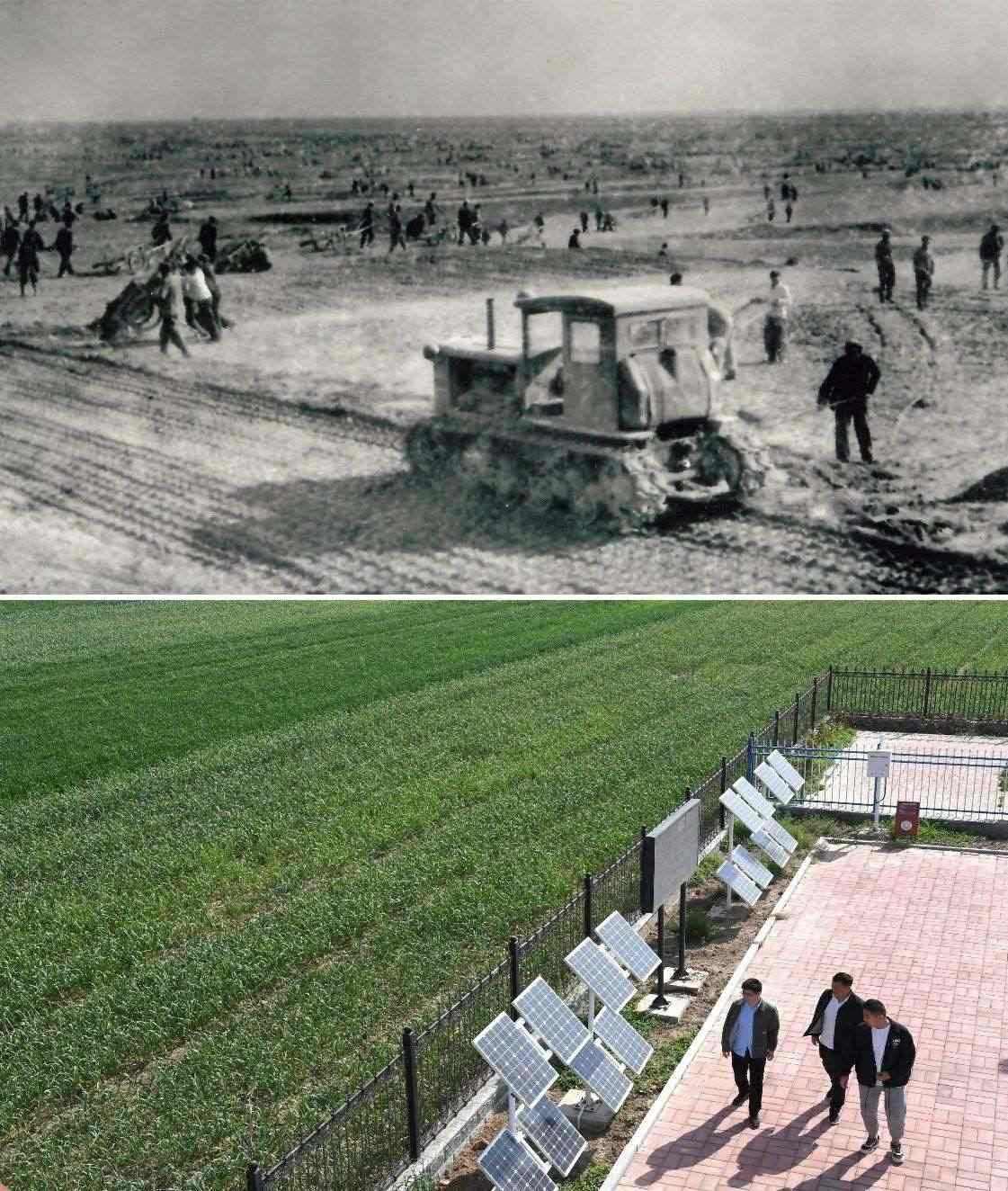 上圖為二十世紀(jì)六十年代蘭考改造鹽堿地的情景（資料照片）；下圖為2024年4月18日拍攝的蘭考縣紅廟鎮(zhèn)高標(biāo)準(zhǔn)農(nóng)田示范區(qū)。（新華社記者 朱祥 攝）
