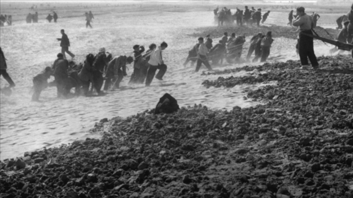 蘭考群眾在拉淤土壓沙。（新華社記者 鄧歷耕 攝）