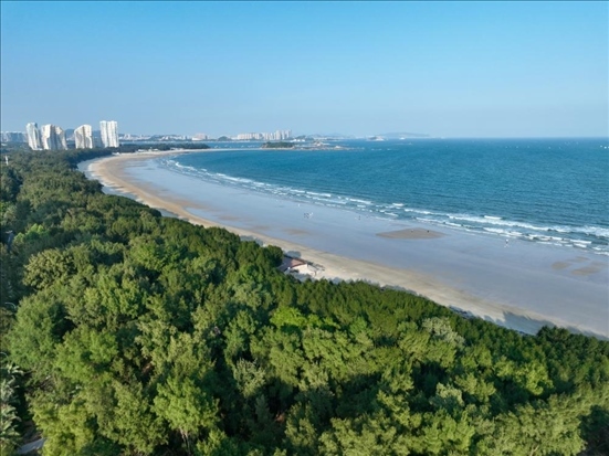 郁郁蔥蔥的東山縣沿海防護(hù)林（無人機(jī)拍攝）。新華社記者 姜克紅 攝