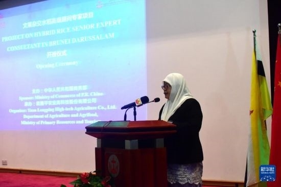 10月26日，文萊初級資源與旅游部常任秘書圖蒂亞蒂在斯里巴加灣市出席中國與文萊雜交水稻高級專家顧問項目啟動儀式。新華社記者 李萌 攝