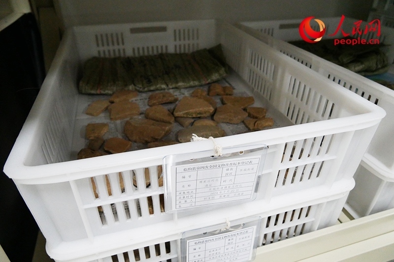 已經(jīng)整理完畢的文物標本。人民網(wǎng)記者 韋衍行攝