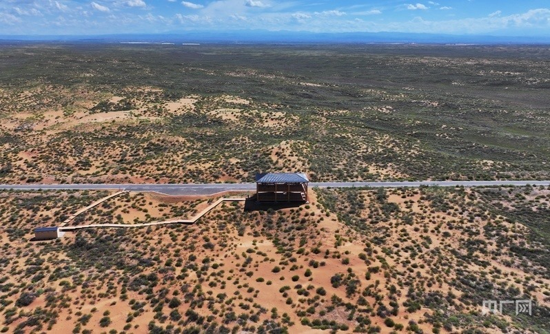 古浪縣一代代人治沙不息，讓綠色向沙漠深處不斷延伸（央廣網(wǎng)記者 李紅軍 攝）