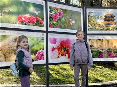 活動現(xiàn)場。中國駐保加利亞大使館供圖。