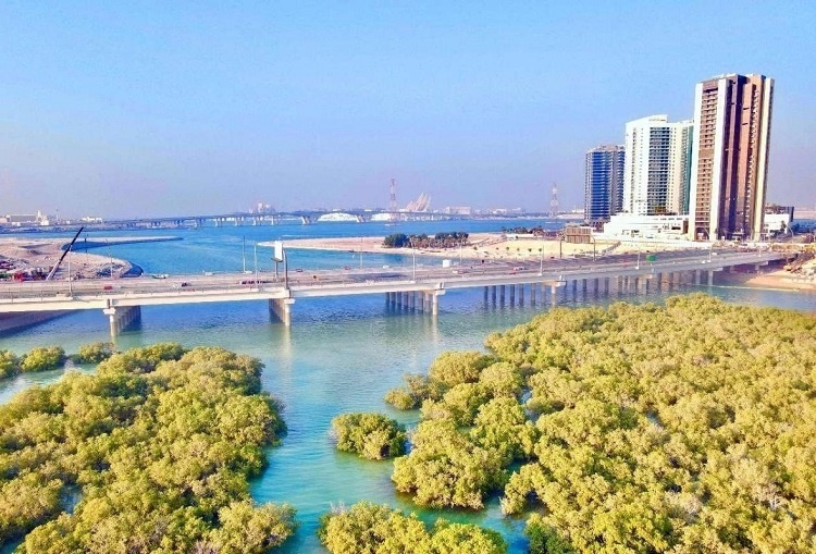 圖為瑞姆橋施工現(xiàn)場。中國土木供圖