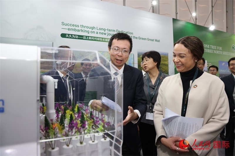 嘉賓參觀中國(guó)館。人民網(wǎng)記者任皓宇攝