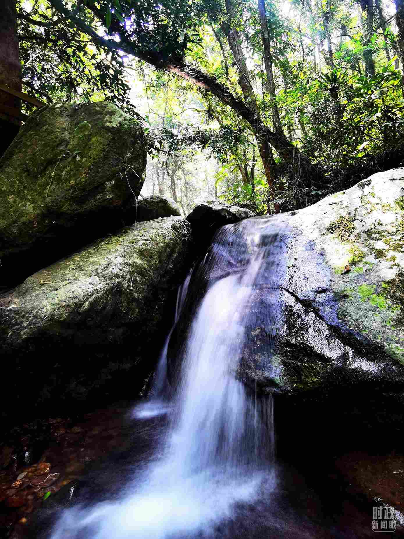 海南五指山。（總臺央視記者劉琦拍攝）