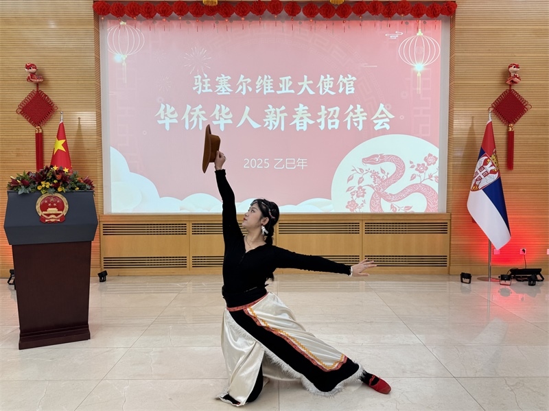 招待會現(xiàn)場表演。諾維薩德孔子學(xué)院供圖