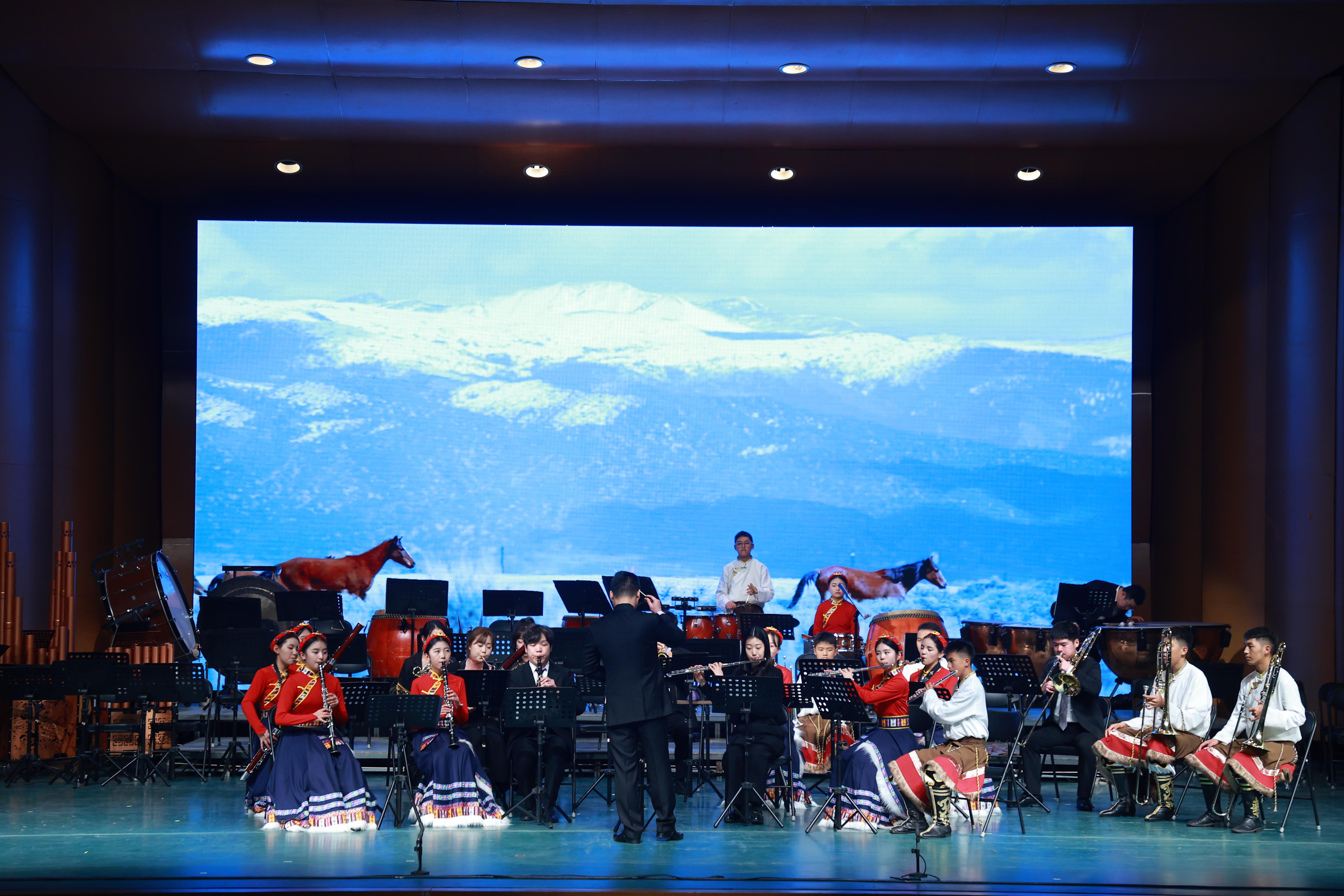 音樂會(huì)展演現(xiàn)場(chǎng)。（主辦方供圖）