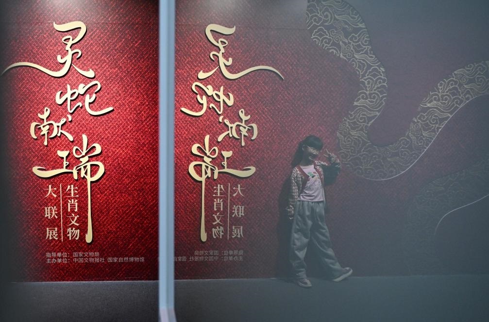 1月18日，一名小朋友在國家自然博物館舉辦的“靈蛇獻(xiàn)瑞——2025乙巳蛇年生肖文物大聯(lián)展”展覽中拍照留念。（新華社記者 陳鐘昊 攝）