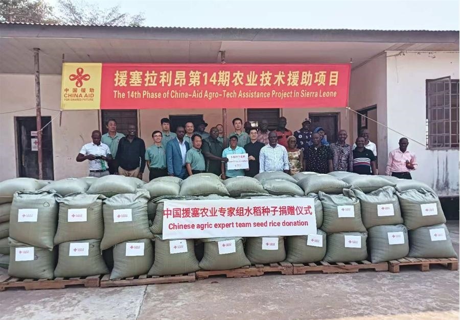 中國(guó)援塞拉利昂農(nóng)業(yè)專家組在塞南方省博城舉辦水稻種子捐贈(zèng)儀式。中國(guó)援塞農(nóng)業(yè)專家組供圖