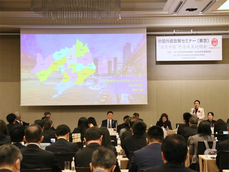 地方代表進(jìn)行專題投資推介。人民網(wǎng) 許可攝