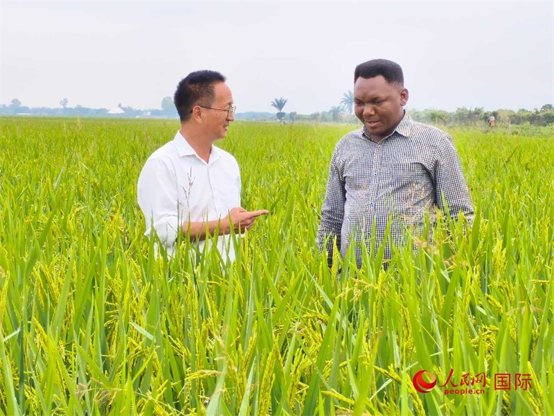 專家組組長楊華德在與農(nóng)民學員交流。人民網(wǎng)記者黃培昭攝
