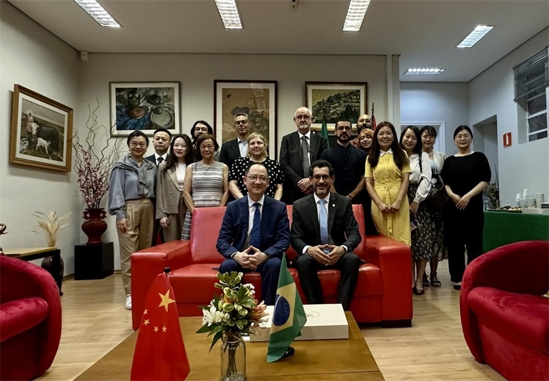 圖為參加座談會(huì)的來(lái)賓合影留念。 圣保羅州立大學(xué)孔子學(xué)院供圖