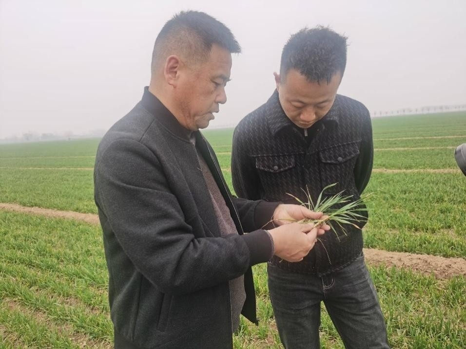 在山東濟(jì)寧汶上縣苑莊鎮(zhèn)，農(nóng)技員黃海龍對(duì)種糧大戶王振現(xiàn)場(chǎng)進(jìn)行春耕指導(dǎo)。人民網(wǎng)記者 車柯蒙攝