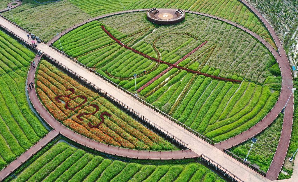 這是3月21日拍攝的瓊海博鰲南強村景色（無人機照片）。新華社記者 郭程 攝