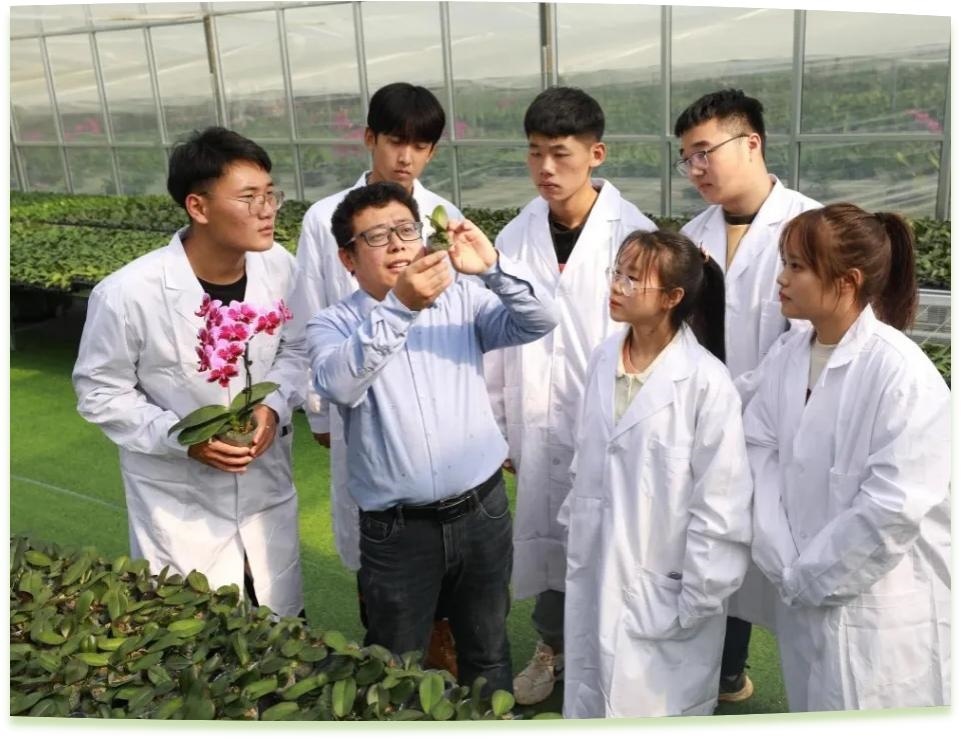 濰坊工程職業(yè)學(xué)院科技創(chuàng)新團隊為花卉行業(yè)從業(yè)者作蝴蝶蘭雜交選育技術(shù)指導(dǎo)。學(xué)校供圖