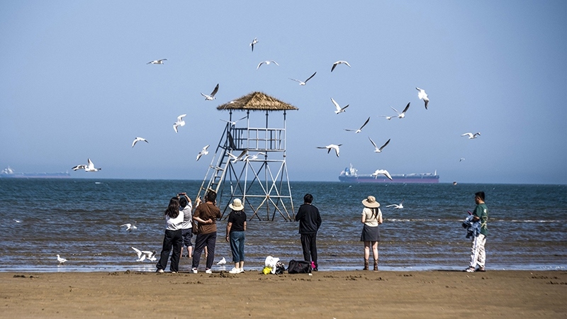 2024年5月12日，河北秦皇島，北戴河鴿子窩公園成群海鷗在天空中自由翱翔，與大海、藍(lán)天構(gòu)成了一幅美麗的畫卷。