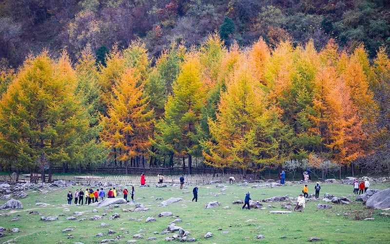 2023年10月27日，深秋時(shí)節(jié)的陜西秦嶺太子嶺五彩斑斕，進(jìn)入最佳觀賞期。