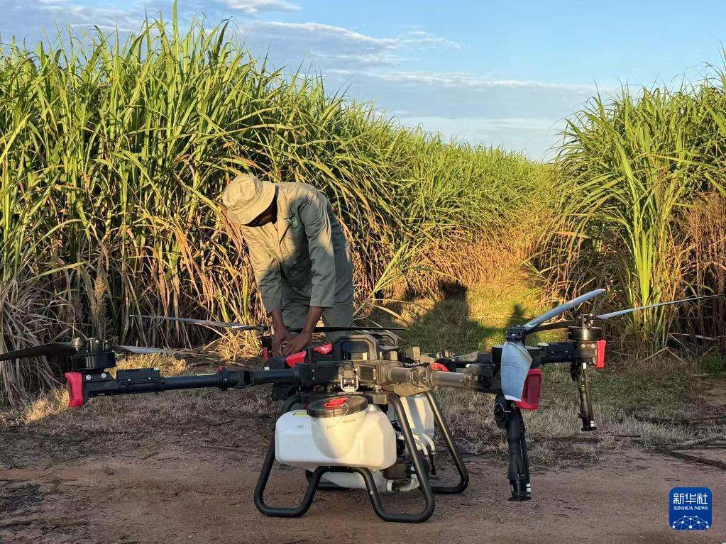 3月25日，在南非夸祖魯-納塔爾省的方廷希爾莊園，工作人員為無人機做起飛作業(yè)前的準(zhǔn)備。新華社記者 白舸 攝