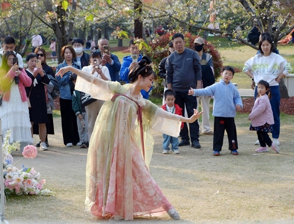 清明假期期間，上海顧村公園櫻花島上，游客在觀賞國(guó)風(fēng)漢服快閃表演。（圖片來(lái)源：視覺中國(guó)）
