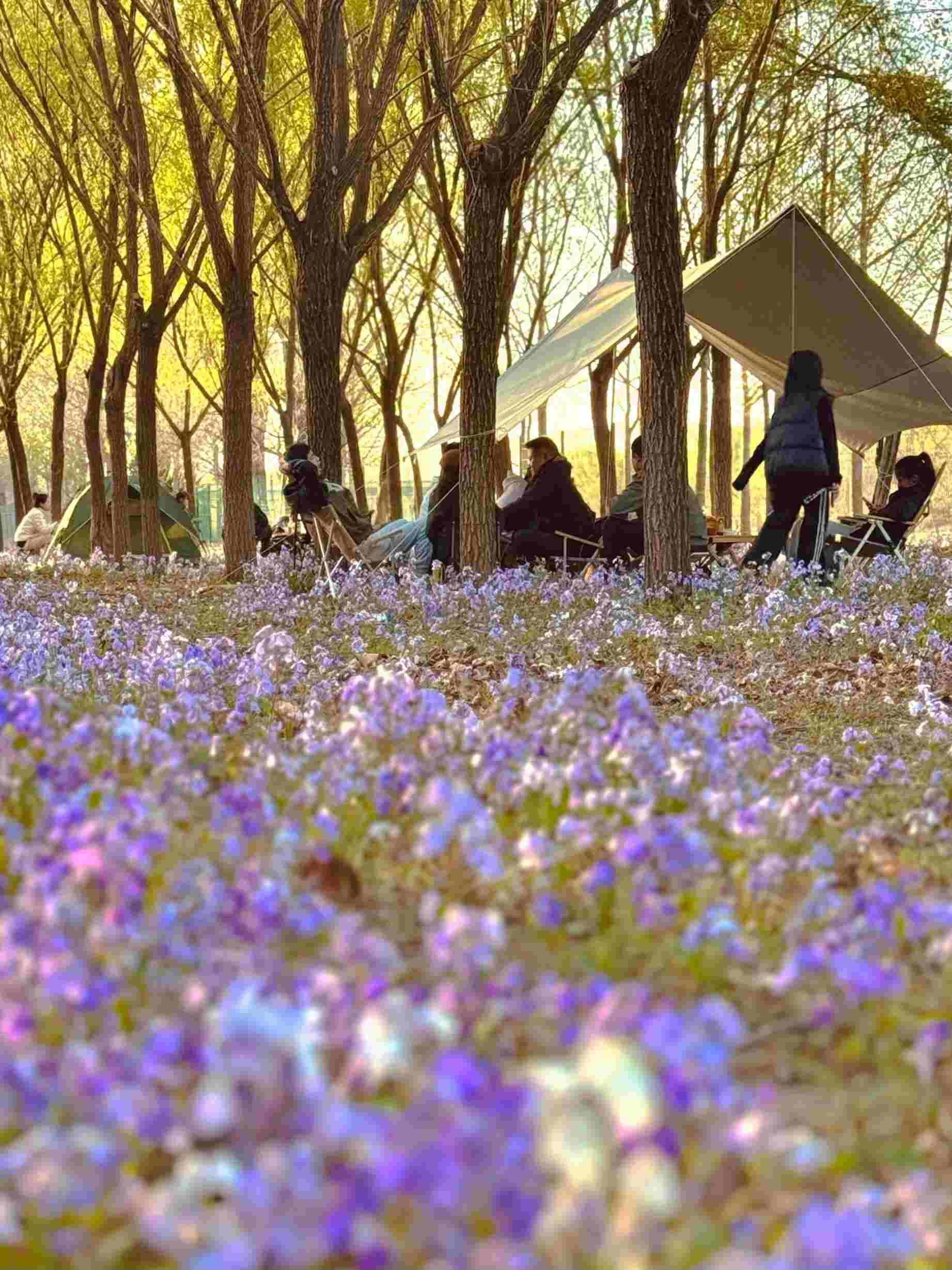 清明假期期間，范女士一家在北京溫榆河邊露營(yíng)。受訪者供圖