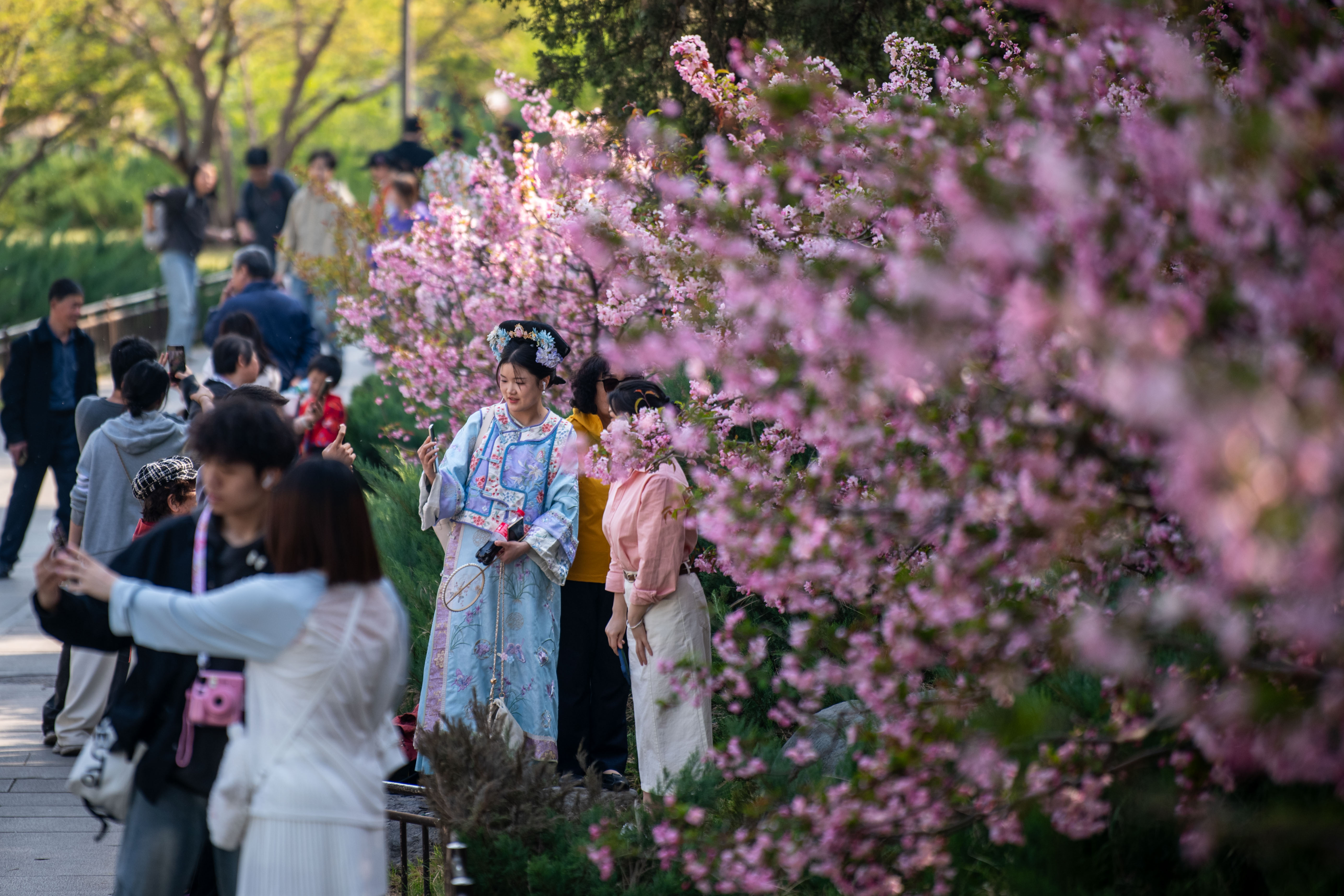 2025年4月6日，北京北海公園，滿園春色醉游人。人民網(wǎng)記者 翁奇羽攝