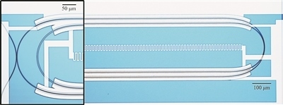 微波光量子傳感器的光學(xué)顯微照片。圖片來(lái)源：美國(guó)哈佛大學(xué)